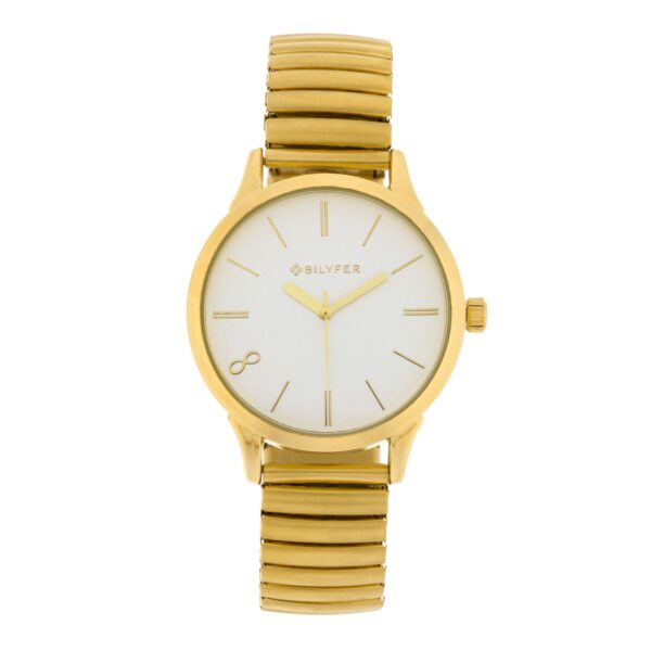 STEEL ADJUSTABLE EXTENSIBLE MESH WATCH 38MM CASE