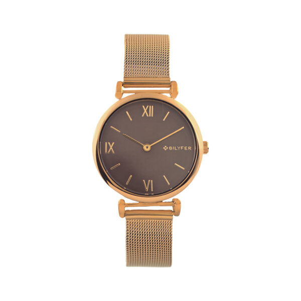 ROUND ROMAN NUMBERS STEEL MESH WATCH