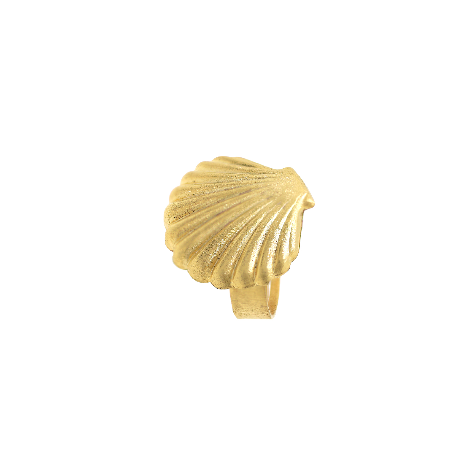 Anillo Concha talla universal