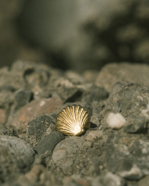 Anillo Concha talla universal