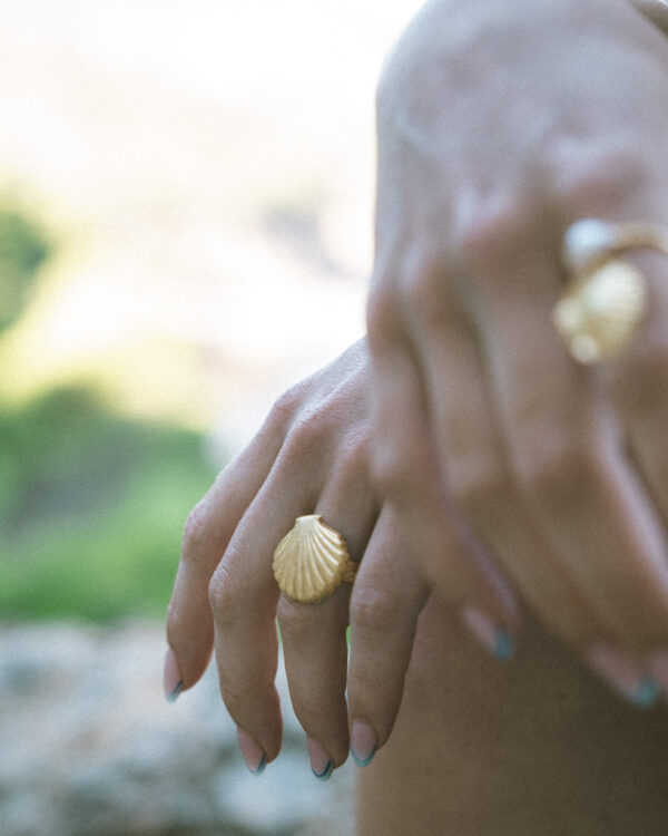 Anillo Concha talla universal