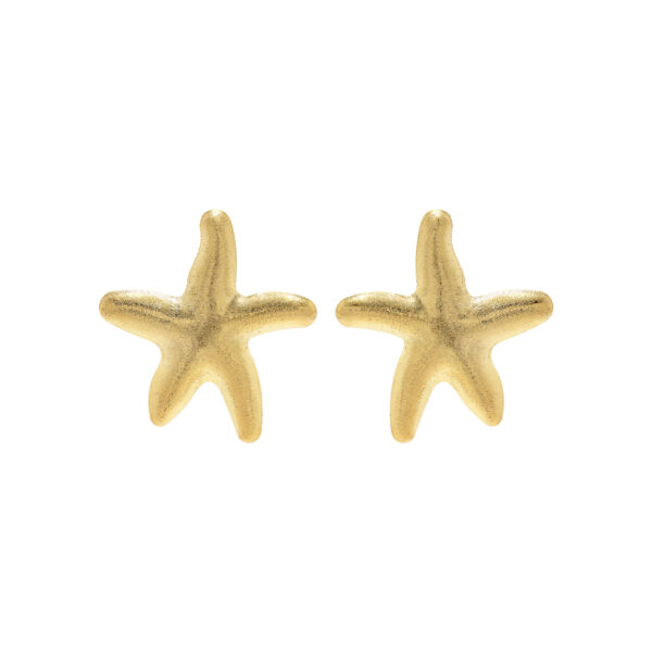 Aro con Estrella de Mar