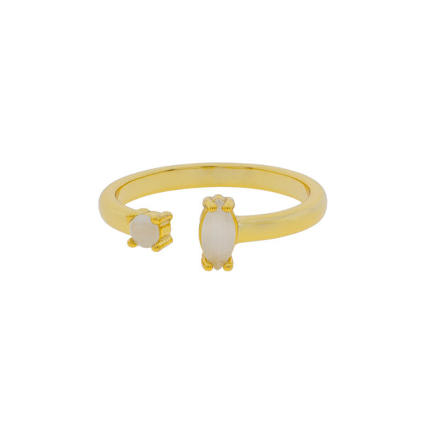 Universal Thin Ring with Gold-Plated Crystal