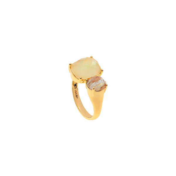Universal adjustable ring