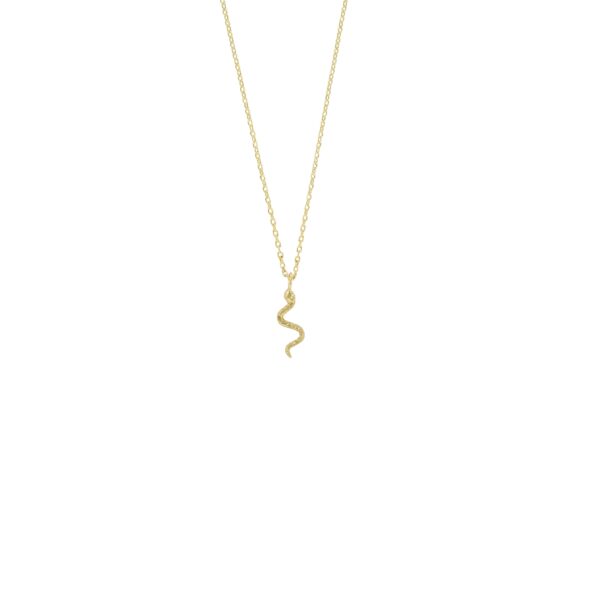 COLECCON SERPIENTE CHAPADO ORO