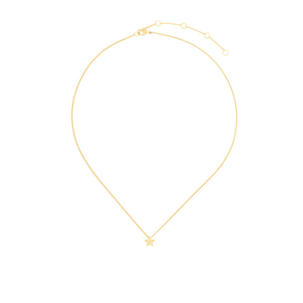 COLLAR CON ESTRELLA CHAPADO ORO