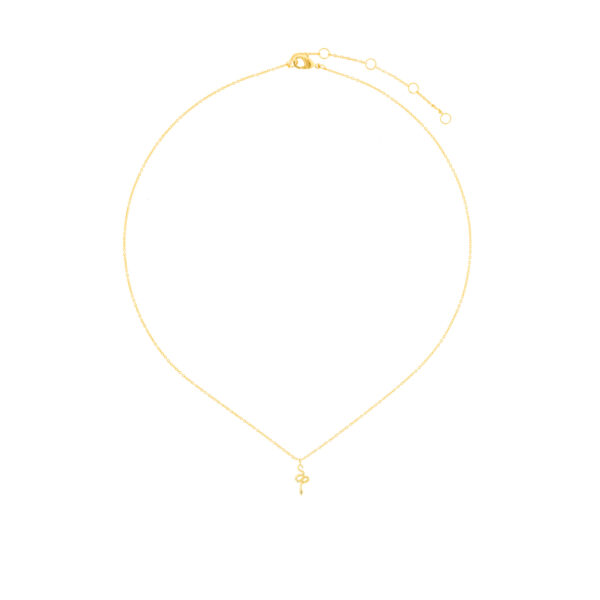 COLLAR CHAPADO ORO CON SERPIENTE