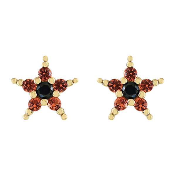 PENDIENTE ESTRELLA CON CIRCONITAS