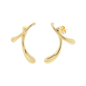 Gaudy Double Earring