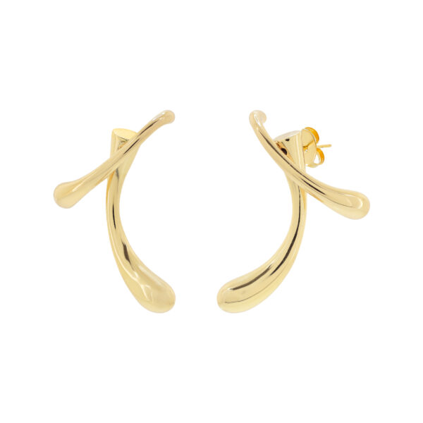 Gaudy Double Earring