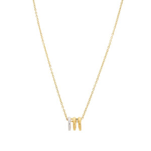 Combined Gold and Silver Necklace