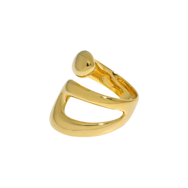 Anillo universal lisoBig